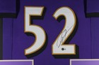 Ray Lewis  ravens Purple Tower  Signed Autographed Framed Jersey Jsa 