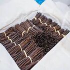 25 Madagascar Extract Grade B Bourbon Vanilla Beans 6-7 Inches New 2023 Harvest 