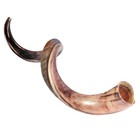 Kosher Half-polished Kudu Shofar - Authentic Handmade Horn From Israel