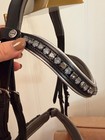 Halter Ego  eiffel Tower  Dressage Bridle - Pony Size - Only Used Once 