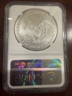 2017 W Burnished American Silver Eagle Ngc Ms 70 Fdoi