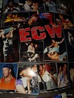 Terry Funk Signed Large Ecw Poster Wwe Wwf Aew