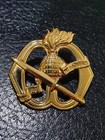 Nederlands Korps Commandotroepen Parachute Airborne Paratrooper Beret Badge Wing