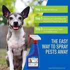 Adams Flea And Tick Spray For Cats  Kittens  Dogs And Puppies 16 Ounce Bottle Nw