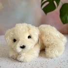      Honey The Cream Dog        Large 15    Ty Classic Plush Puppy   Golden Retriever
