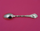Demidoff Vermeil By Odiot French Sterling Silver Teaspoon New Never Used 6 