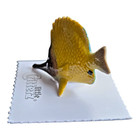 Little Critterz Butterfly Fish  reef  Miniature Figurine New Free Shipping Lc220