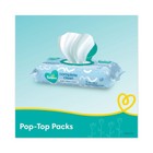 Pampers 75536 1-ply Baby Fresh Complete Clean Baby Wipes - White  8 carton  New