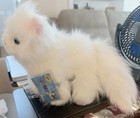 410-ganz Webkinz Persian Cat New Sealed Code Retired Stuffed Animal Plush