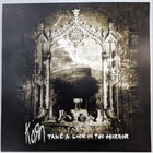 Korn Take A Look In The Mirror 2-sided Promo Poster 12 X 12