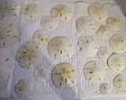 Lot Of 26 Various Size Sand Dollars  sku  2354 