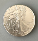 Lot Of 2 Silver 2025 American Eagle 1 Oz  Fine  999 Us Oz Coins