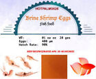 Baby Brine Shrimp Eggs Artemia Cysts 90  Hatch Rate 01 Oz  2 Oz  16 Oz