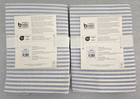 Pottery Barn Teen Ruffle Stripe Standard 2-shams 20  X 26  Blue   White
