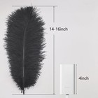 10pcs Natural Ostrich Feathers Plumes 14-16inch35-40cm For Craft Flower Arran   