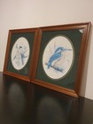 Pair Of Large Vintage Art John Evans Framed Bird Prints  Bullfinch  Kingfisher 