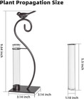 Plant Propagation Station  Plant Terrarium With Tubes Glass Vase  Desktop Glass