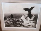 Jack Coughlin  american 1932-   going On The Whale  Etching With Coa 1977 Framed