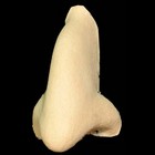 Wicked Witch Nose Foam Latex Prosthetic Scary Halloween Costume Accessory