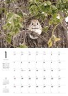 North Forest Animals Calendar 2026 Wall Calendar Cute Animals Seasonal Pics