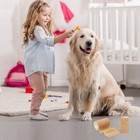 Self Adherent Wrap Adhesive Bandage Gauze Rolls Elastic First Aid Medical Tape