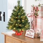 2ft Prelit Mini Christmas Tree Artificial Tabletop Small Xmas Tree  50 Led Light