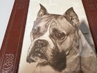 Vintage Framed Photo Of A Pet Boxer Dog