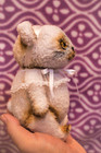 Newborn Baby Cub Teddy Bear Cloth Doll Handmade Stuffed Animal Toy Collectible