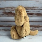 Jellycat London Bashful Toffee Puppy Medium Plush Dog Bas3tpus Brown