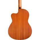 Cordoba C1m-ce Protege Cutaway Nylon-string Acoustic-electric Classical Guitar
