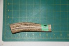 Small Upper Elk Antler Dog Chew  4   Bone Chews Moose Treats Deer 305