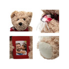 Fine Photo Gifts Teddy Bear With 2 5x3 5 Single Picture Frame