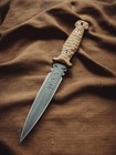 Venom Fang Dagger Handmade D2 Steel Knife Custom Micarta Handle Gift For Him
