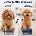 Pet Grooming Hair Clipper Kit Dog Cat Trimmer Cordless Usb Rechargeable Low Nois