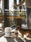 Automatic Cat Feeder With Camera - 5g Wifi Automatic Cat Food Dispenser 