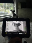 Atomos Shinobi 7 4k Hdmi sdi Hdr Photo Video Monitor With Cage sunhood  Battery