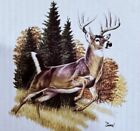 New In Box  Bass Pro Shops White Tail Buck Deer Dinnerware  16-pc Stoneware Set