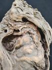 Driftwood Natural Slab Great Character 