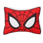 Spider-man Twin Quilt Set