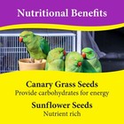 Premium Cockatiel Bird Food With Probiotics  9 Lb Nutritious Mix