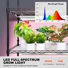 Plant Stand With Grow Light 6 Tiers 180w 70 9  Indoor Plant Grow Shelf