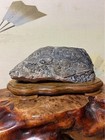 Lingbi Scholar Rock Pearl Stone Suiseki Viewing Stone 20cm With Wooden Base