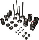 Head Intake   Exhaust Valve Seals Kit For Honda Sportrax 400 Trx400ex 1999-2008