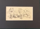 Samoyed  duo   Matted   Framed   Ready To Gift - 1950 Vintage Dog Art Print