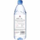 Evian Natural Spring Drinking Water  1 L  12 Pack Bottles
