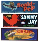 Collection Of 25 Different Florida Citrus Labels   original Fruit Crate Labels  