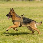 Tactical Dog Harness No Pull 1000d Nylon Large Dogs Handle Reflective Vest