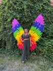 Rainbow Angel Wings Multicolored Wings Adults Cosplay Props Lgbt Fairy Accessori