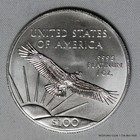 Brilliant Uncirculated 2019 1 Oz Platinum American Eagle  100  9995 Fine Us Mint