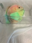 Ty Beanie Baby    authenticated Coral The Fish Musuem Quality 4-3 Gen New Mwmt s
